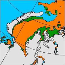 Очищение акватории в конце июня